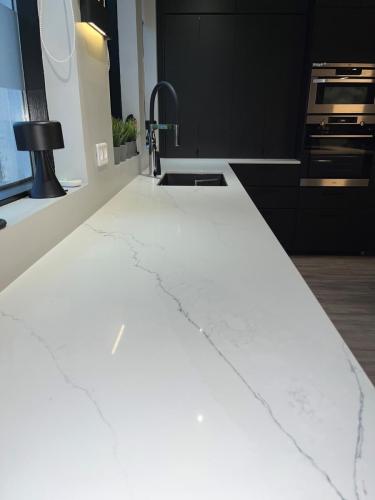 Staturario Noctis Marble quartz - vaskaplata